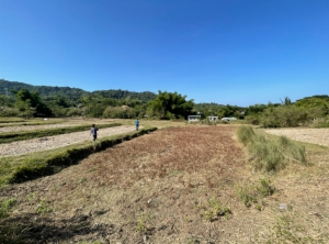 Vacant Lot, Can be subdivided, Langcuas, San Fernando City, La Union